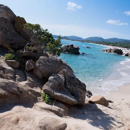 Domus Centro By Interhome