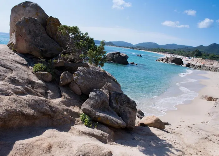 Domus Centro By Interhome